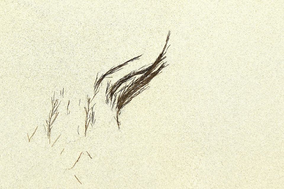13-Mueller-Helmut