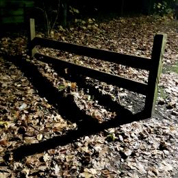Jahreswettbewerb 2023  Starke Schatten